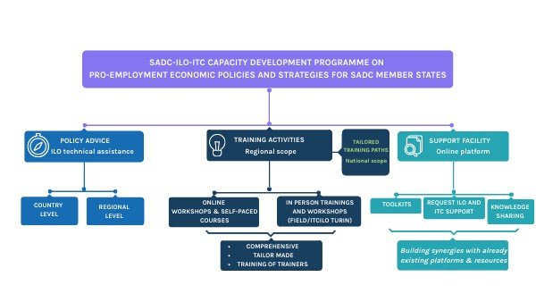CB PROGRAMME | Genially