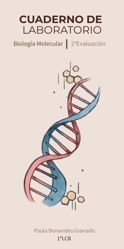 INFO VERTICAL ADN | Genially