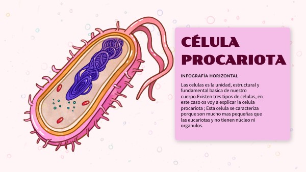 PARTES DE LA CÉLULA PROCARIOTA | Genially