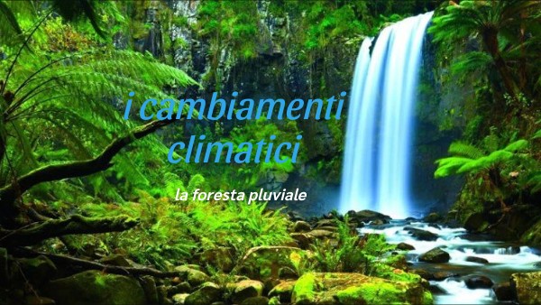 la foresta pluviale