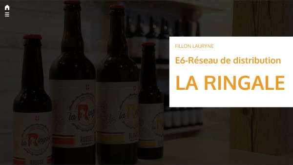 E6 Distribution et partenaire