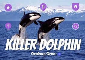 Orcinus Orca | Genially