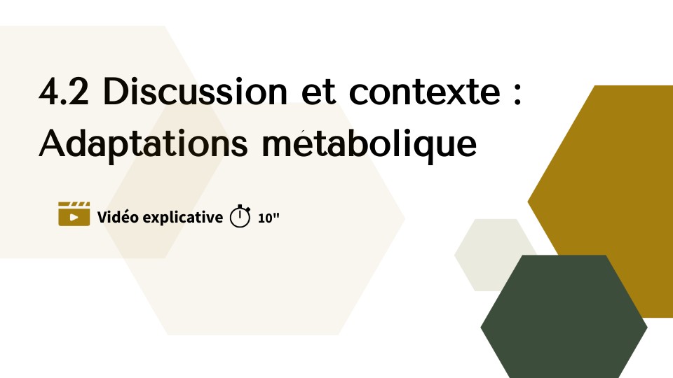 P2.4.2 - Discussion - Adaptation métabolique - vidéo 10'' | Genially