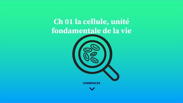 Module didactique génial | Genially