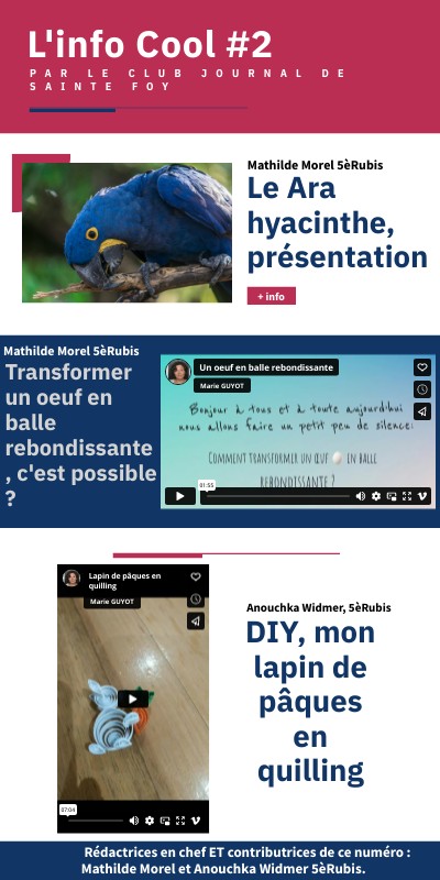 L'info Cool #2
