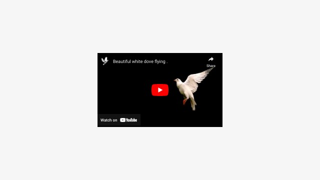 BASIC INTERACTIVE VIDEO | Genially