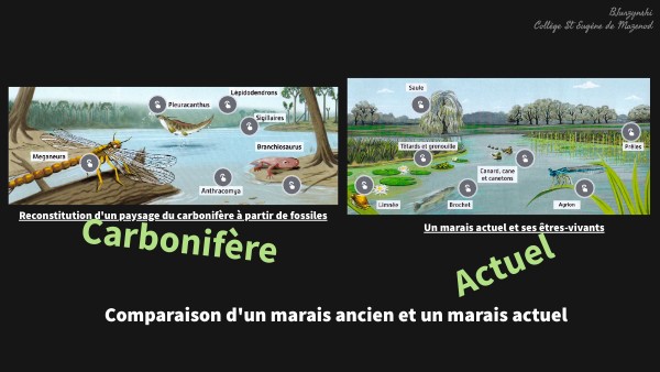 Biodiversité Actuelle Et Passée Page De Garde 6 Svt 6ème Comparaison Marais Biodiversité passée | Genially