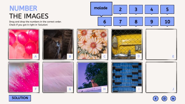 NUMBER THE IMAGES | Genially