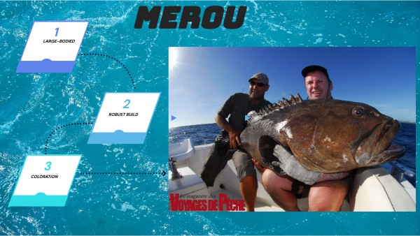 Le MEROO | Genially