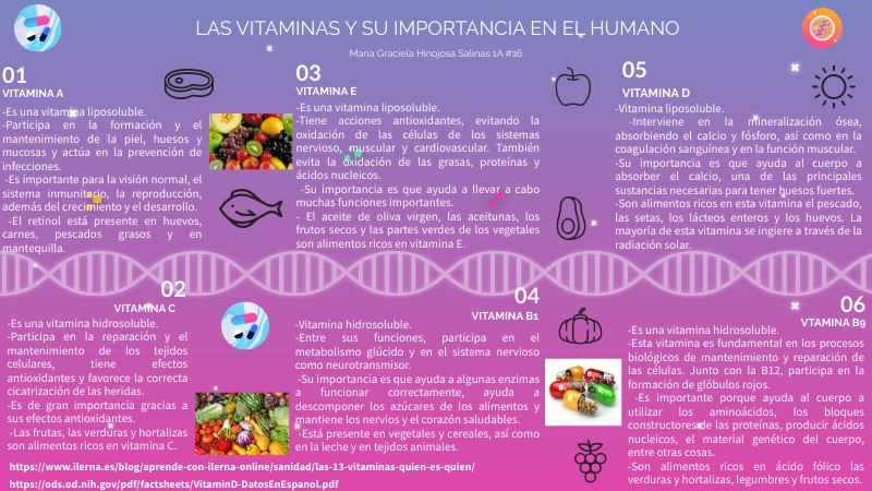 Las vitaminas y su importancia en el humano | Genially