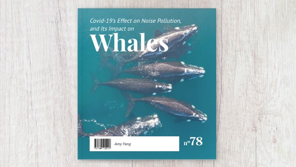 COVID-19's Effect on Noise Pollution and Its Impact on Whales