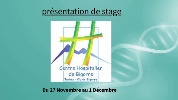 diaporama oral de stage