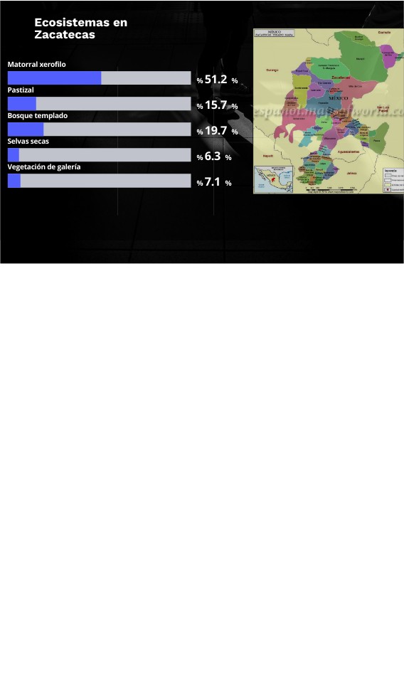 DASHBOARD DATA VIS | Genially