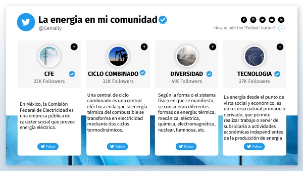 TWITTER PROFILES