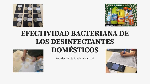 EFECTIVIDAD BACTERIANA DE LOS DESINFECTANTES DOMÉSTICOS