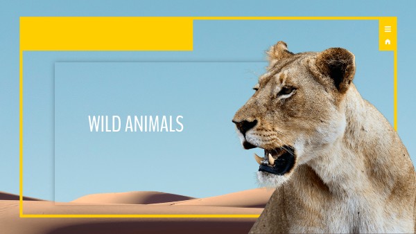 ANIMALS PRESENTATION | Genially