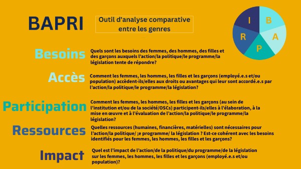 Copy - French - NAPRI