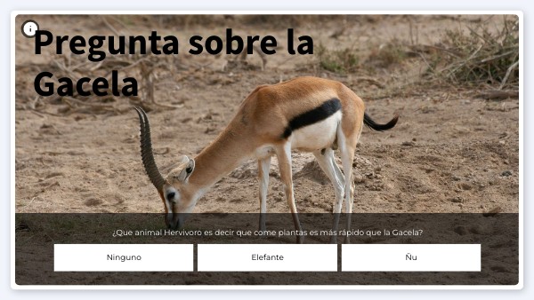 PREGUNTA - RESPUESTA | Genially
