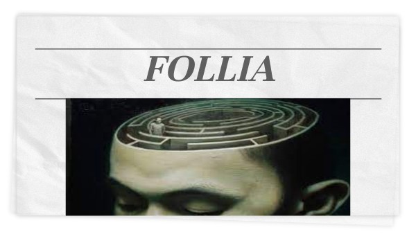 Follia è Fare Sempre La Stessa Cosa Aspettandosi Risultati Diversi la follia