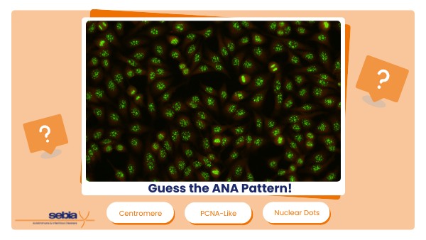 Guess the Pattern - Week 3 - 2024 | Genially