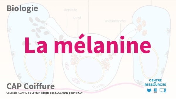 Complément Alimentaire Charak Pigmento – 60 Comprimés – Aide à La Mélanine – Vitiligo – Ayurvédique