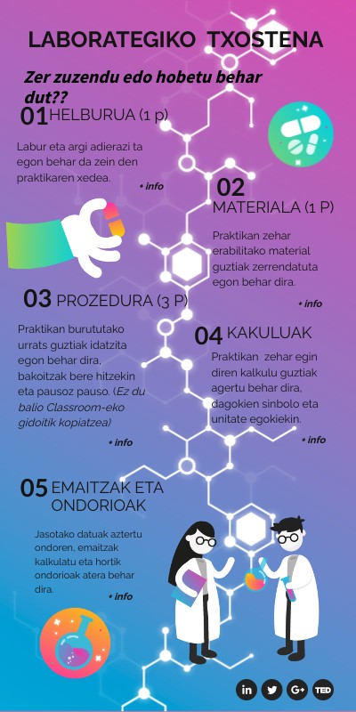 B2.3 Feedback (Infografia)