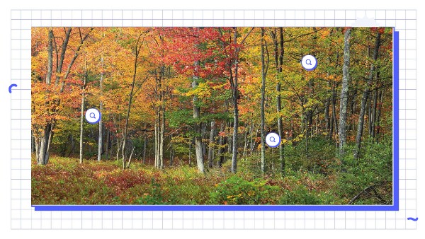 Temperate Region