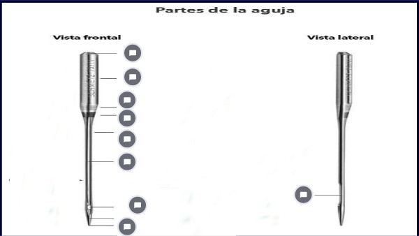 partes de la aguja | Genially