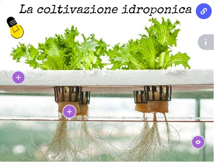 Kit di coltivazione idroponica senza suolo, 36 fori, 4 tubi, utensili per ortaggi e giardinaggio con pompa, sistemi di coltivazione senza suolo | Leroy Merlin