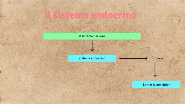UNIVERSITY CONCEPT MAP