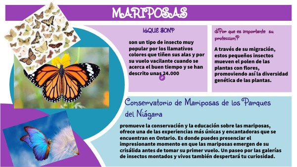 RESEÑA LIBRO II | Genially