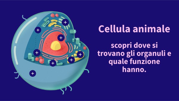Poster interattivo cellula animale