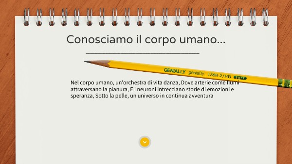 Lisciani 48915 – Il Quiz Sul Corpo Umano – Gioco Educativo Per Bambini Della Scuola Primaria