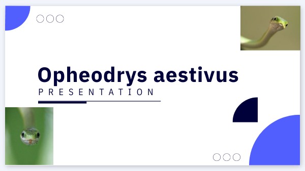 BASIC SHAPES PRESENTATION | Genially