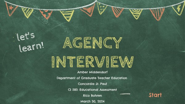 Agency Interview
