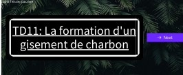 La Formation D Un Gisement De Charbon Genially