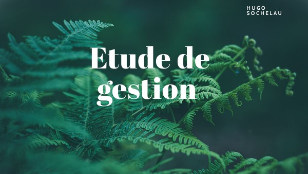 étude de gestion | Genially