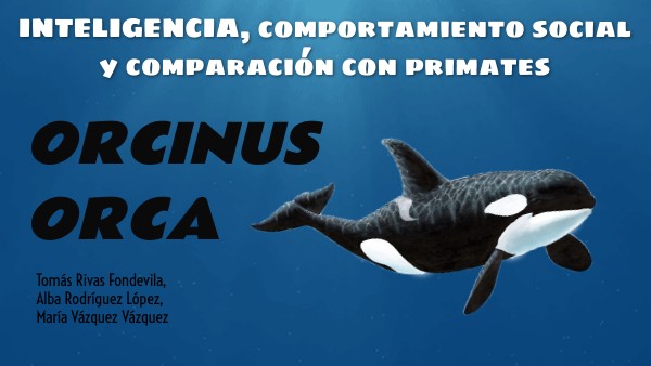 ORCINUS ORCA