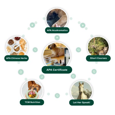Copy - EA Website - The APA System