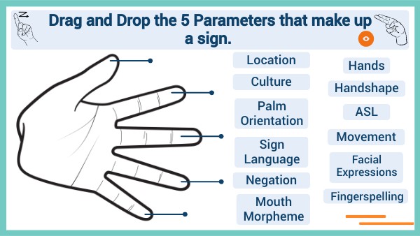Learn 3.1: Parameters Practice