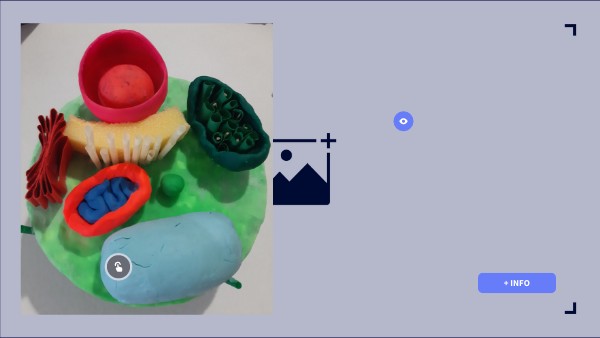 Essential Interactive Image | Genially