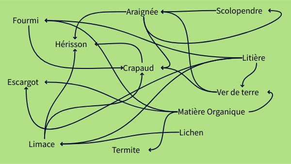 Pluys Alexandre --- Vincendeau Mathys