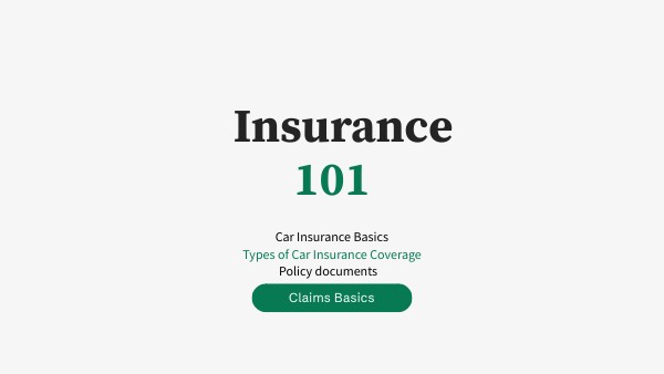 4. Insurance 101 | Claims Basics | Genially