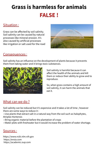 Potential Dangers Of Eating Grass photo