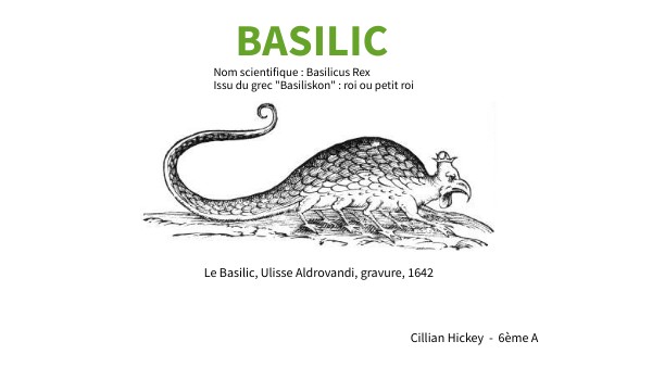 BASILIC | Genially