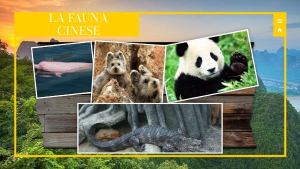 ANIMALS PRESENTATION | Genially