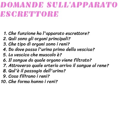 DOMANDE SUUL'APPARATO ESCRETTORE | Genially