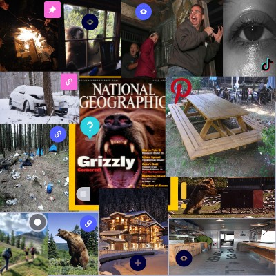 Essential Square Interactive Image | Genially