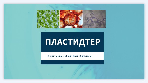 HEALTH SCIENCES PRESENTATION | Genially