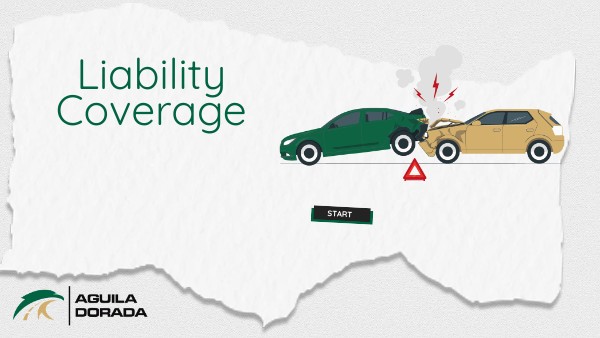 LWSSL105_AD_Liability_Coverage